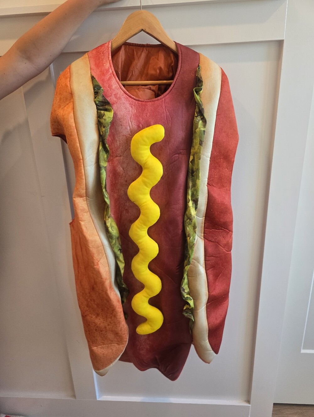 Adult Hot Dog With Mustard And Relish Costume One Size
